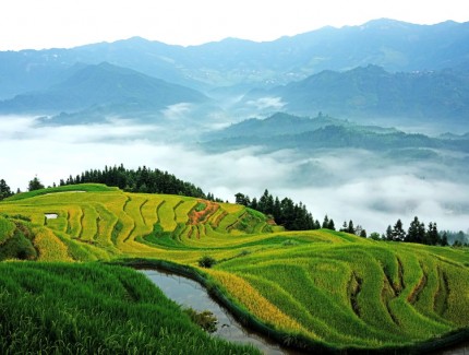 初秋梯田“丰”景美
