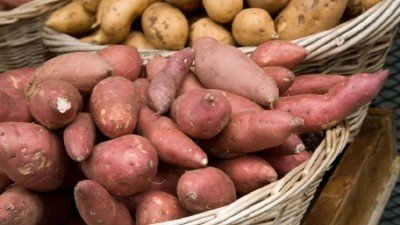 白薯、红薯、紫薯究竟有何区别？甘薯选购指南请查收！