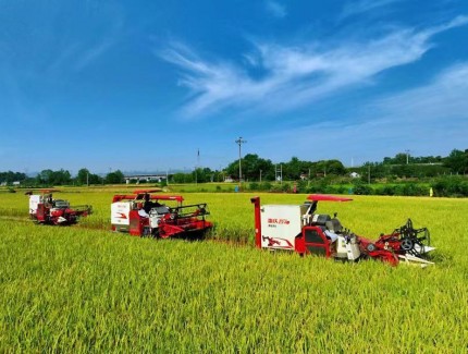 大力推广机械收割 推动农业生产提质增效
