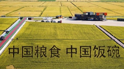 龙腾虎跃全面振兴开新局