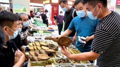 第38届全国(亳州)中药材交易会开幕