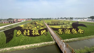 “百亩田、千亩方、万亩片”天津市多措并举推进小站稻绿色高质高效发展