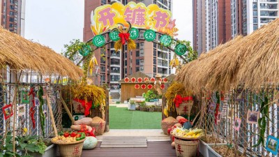 秋来稻谷黄 学生收割忙