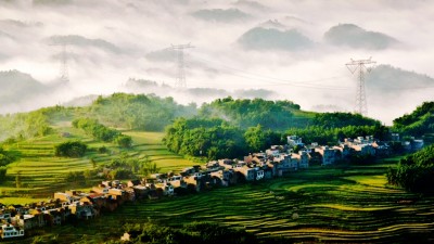 农业发展成就显著 乡村美丽宜业宜居