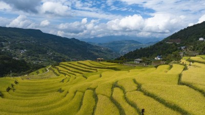 美丽乡村“丰”景美