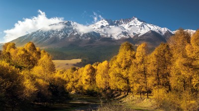 祁连山层林尽染秋如画