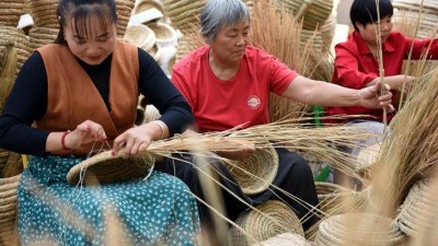 山东郯城：秸秆“编”出致富路