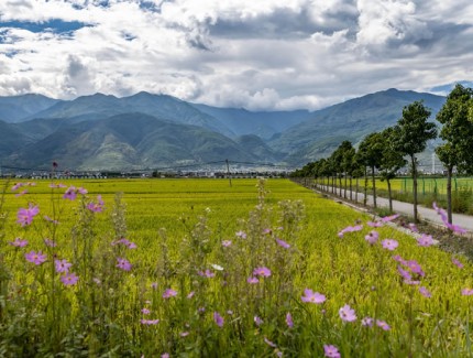 苍山洱海风景如画