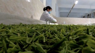 我国产业工人队伍不断壮大