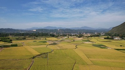 秋高气爽抢收忙
