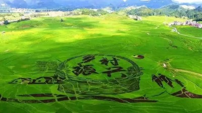 奋力谱写新时代乡村振兴新篇章