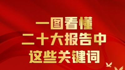 一图看懂二十大报告中这些关键词