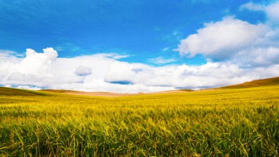 中国这十年用实际行动描绘人与自然和谐共生