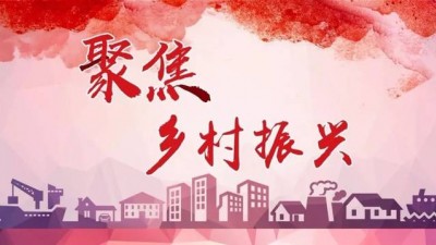 依法全面推进乡村振兴 ——全国人大常委会开展乡村振兴促进法执法检查