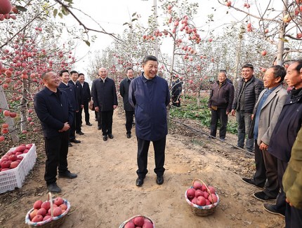 习近平在陕西延安和河南安阳考察