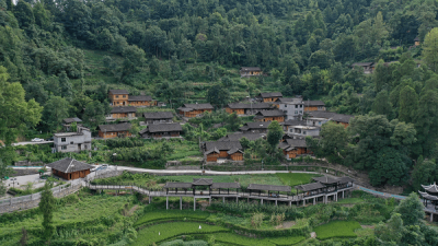 “网红经济”带火乡村产业