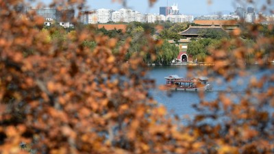 京城秋色浓