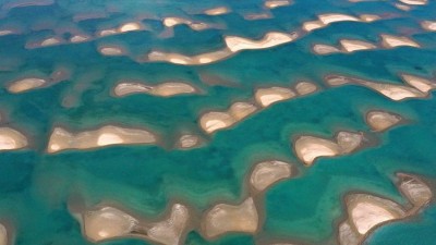 青海湖湿地