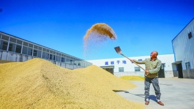 全方位夯实粮食安全根基