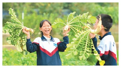 “校园农场”体验丰收农忙