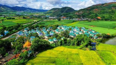 荔浦双江镇深耕厚植“一村一特色”产业助力乡村振兴