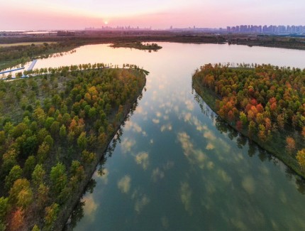 大美湿地城市：合肥