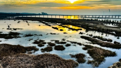 黄河湿地冬景如画