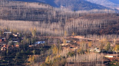 五部门发文巩固退耕还林还草成果 两轮退耕还林还草惠及1.58亿农牧民