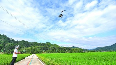 农民评职称，让更多“田秀才”脱颖而出