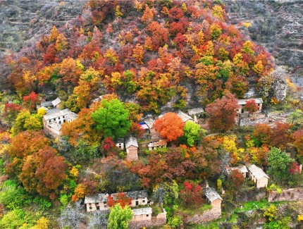 古村胜景：一幅“挂”在太行山上的油画