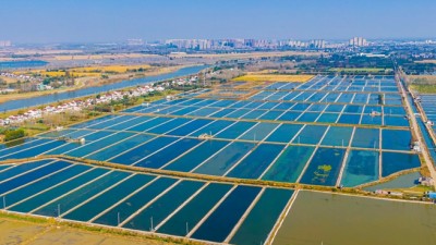 南京浦口:"院士天团"为农业农村现代化装上强引擎