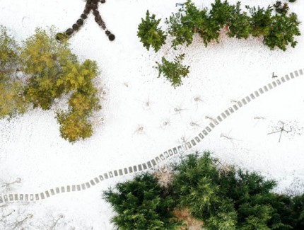 黄海绿洲公园雪后初晴 地面几何图案错落有致