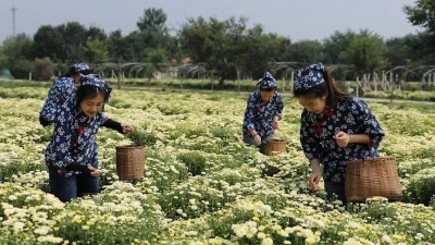 书写“绿色”文章 助力乡村振兴