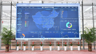 “借U为U”，奋力打造“共富果园”