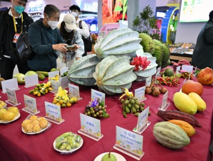 2022年中国（海南）国际热带农产品冬季交易会开幕