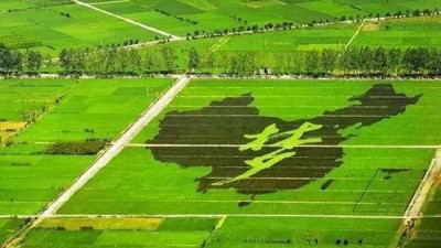 乡村振兴怎么干？习近平明确这些要点