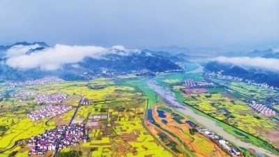 乡村振兴这一年