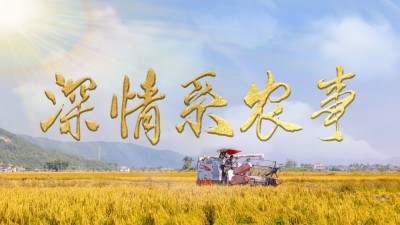 深情系农事