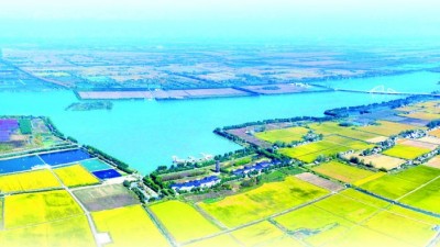 综合管护见实效 汩汩清水润农田