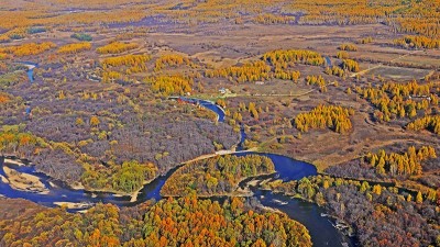 湿地面积有效扩大、生物多样性逐步增加 三江源、青海湖  高原湿地生态美