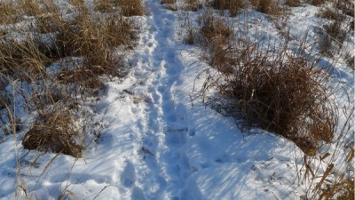 贫困小山村变美丽乡村 冰雪游火了乡村