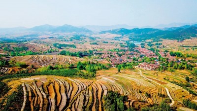 乡村振兴齐鲁样板