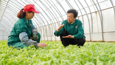 “当好‘火车头’，跑出乡村振兴‘加速度’！”