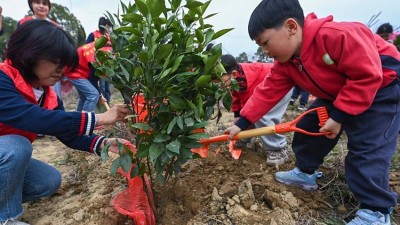 “植树护绿”开启春季校园劳动课