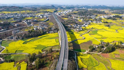 春日乡村景如画