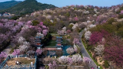 “赏花经济”助力乡村振兴