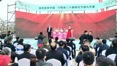 中国 宁陵第二十届梨花节开幕