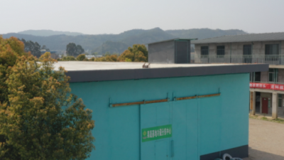 冷库建田边，直收鲜蔬果！