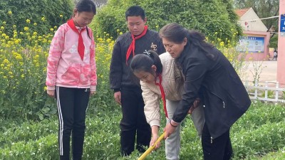 从小爱劳动 生活我能行