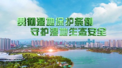 丫霸！闽侯湿地